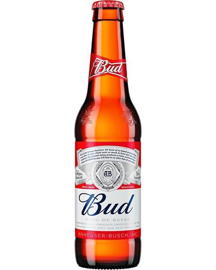 BIRRA BUD CL33x24