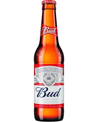 BIRRA BUD CL33x24